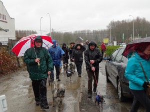 sized 1024 Lentewandeling 2015 044